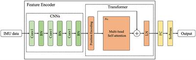Contrastive self-supervised representation learning without negative samples for multimodal human action recognition